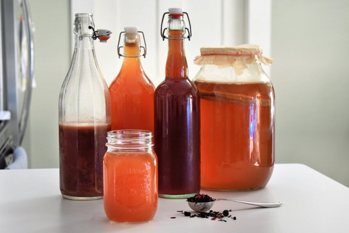 Homemade Kombucha